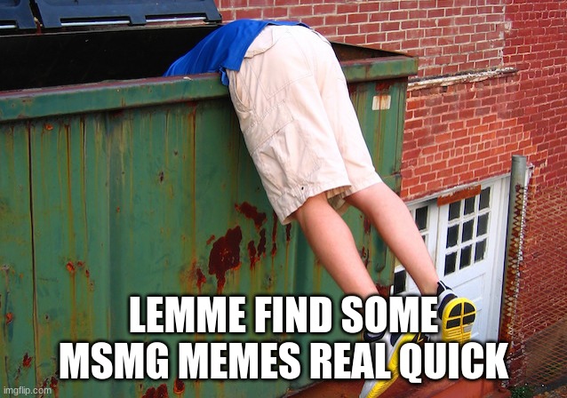 Dumpster Dive | LEMME FIND SOME MSMG MEMES REAL QUICK | image tagged in dumpster dive | made w/ Imgflip meme maker