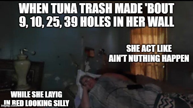 Tina Dandridge | WHEN TUNA TRASH MADE 'BOUT 9, 10, 25, 39 HOLES IN HER WALL; SHE ACT LIKE AIN'T NUTHING HAPPEN; WHILE SHE LAYIG IN BED LOOKING SILLY | image tagged in meme,memes,funny | made w/ Imgflip meme maker