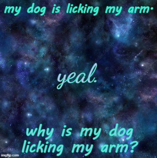 yeal. | my dog is licking my arm. why is my dog licking my arm? | image tagged in yeal | made w/ Imgflip meme maker