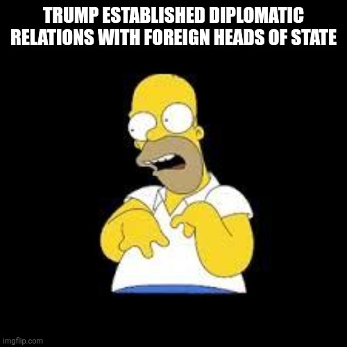 Look Marge | TRUMP ESTABLISHED DIPLOMATIC RELATIONS WITH FOREIGN HEADS OF STATE | image tagged in look marge | made w/ Imgflip meme maker