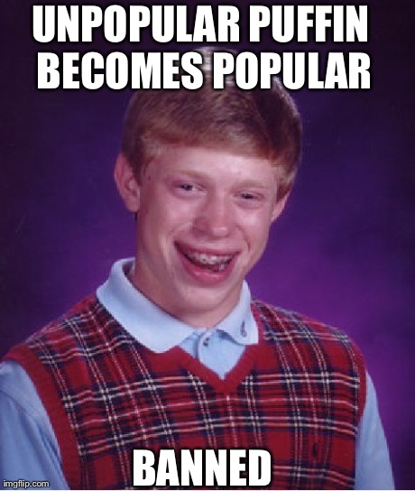 Bad Luck Brian | UNPOPULAR PUFFIN BECOMES POPULAR BANNED | image tagged in memes,bad luck brian,AdviceAnimals | made w/ Imgflip meme maker