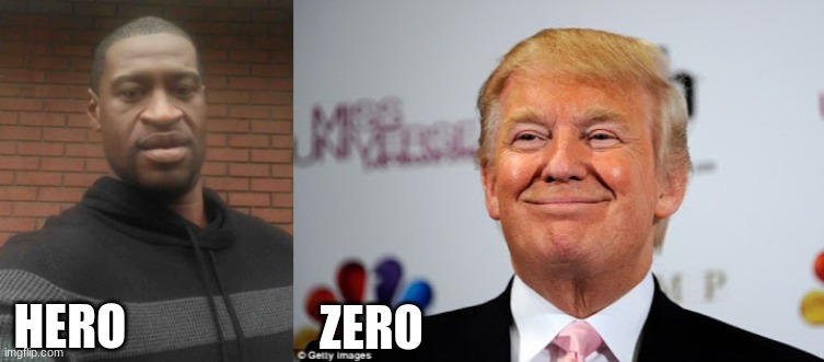 America, Explained | ZERO; HERO | image tagged in george floyd,donald trump approves,reality | made w/ Imgflip meme maker