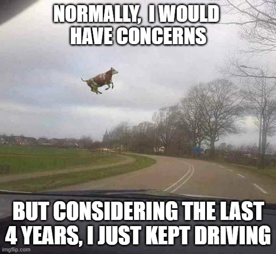 Cows Fly | NORMALLY,  I WOULD 
HAVE CONCERNS; BUT CONSIDERING THE LAST 4 YEARS, I JUST KEPT DRIVING | image tagged in cows fly | made w/ Imgflip meme maker