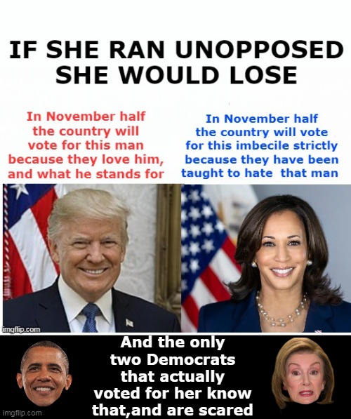 She did get two more votes than she got in the Primary, so.. | And the only two Democrats that actually voted for her know that,and are scared | image tagged in kamala unopposed would lose election meme | made w/ Imgflip meme maker