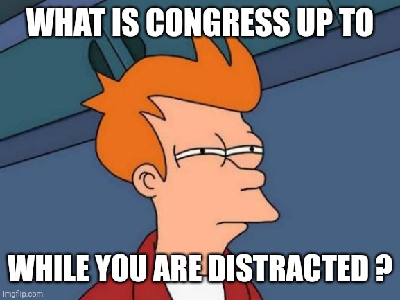 Futurama Fry Meme | WHAT IS CONGRESS UP TO WHILE YOU ARE DISTRACTED ? | image tagged in memes,futurama fry | made w/ Imgflip meme maker