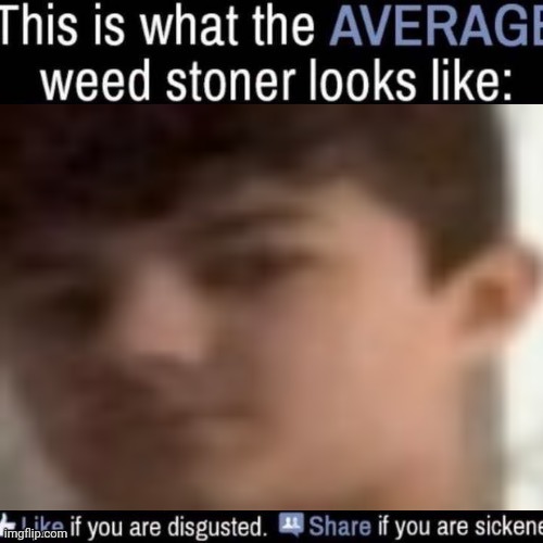 what the AVERAGE weed stoner looks like (add your own image) | image tagged in what the average weed stoner looks like add your own image | made w/ Imgflip meme maker