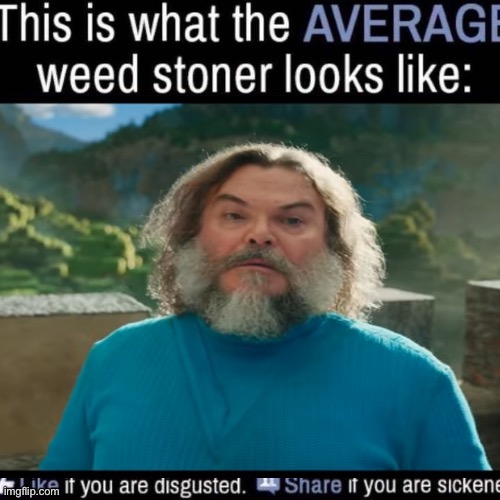 what the AVERAGE weed stoner looks like (add your own image) | image tagged in what the average weed stoner looks like add your own image | made w/ Imgflip meme maker