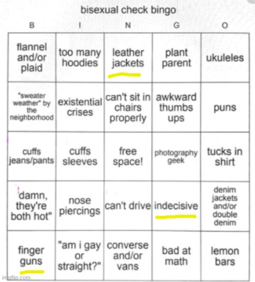 Am I bisexual? | image tagged in bisexual bingo | made w/ Imgflip meme maker