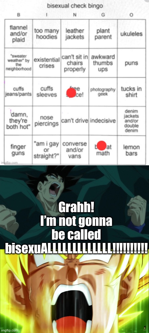 Grahh! I’m not gonna be called bisexuALLLLLLLLLLLLL!!!!!!!!!! | Grahh! I’m not gonna be called bisexuALLLLLLLLLLLLL!!!!!!!!!! | image tagged in i will not let you destroy my world,the super saiyan | made w/ Imgflip meme maker