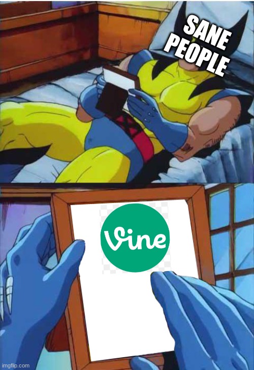 *plays gary come back* | SANE
PEOPLE | image tagged in wolverine remember,vine,comedy gold | made w/ Imgflip meme maker