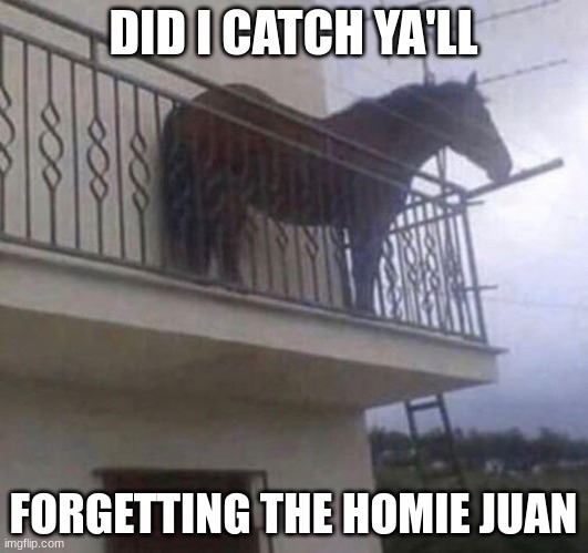 how dare you all forget about the internet's favorite horse | DID I CATCH YA'LL; FORGETTING THE HOMIE JUAN | image tagged in juan,dank memes | made w/ Imgflip meme maker