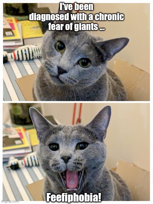 Feefiphobia Dad Joke | I've been diagnosed with a chronic fear of giants ... Feefiphobia! | image tagged in dad joke kitteh,dad joke,cat,cats,funny | made w/ Imgflip meme maker