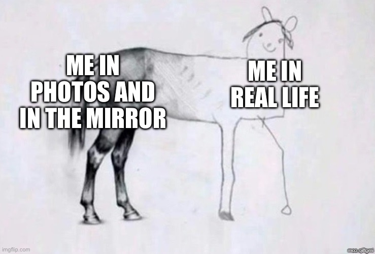 Facts. | ME IN PHOTOS AND IN THE MIRROR; ME IN REAL LIFE | image tagged in horse drawing | made w/ Imgflip meme maker