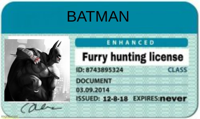 Bro, Even batman has one now | BATMAN | image tagged in anti furry,batman | made w/ Imgflip meme maker