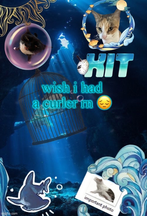 silly announcement template by asriel | wish i had a curler rn 😔 | image tagged in silly announcement template by asriel | made w/ Imgflip meme maker