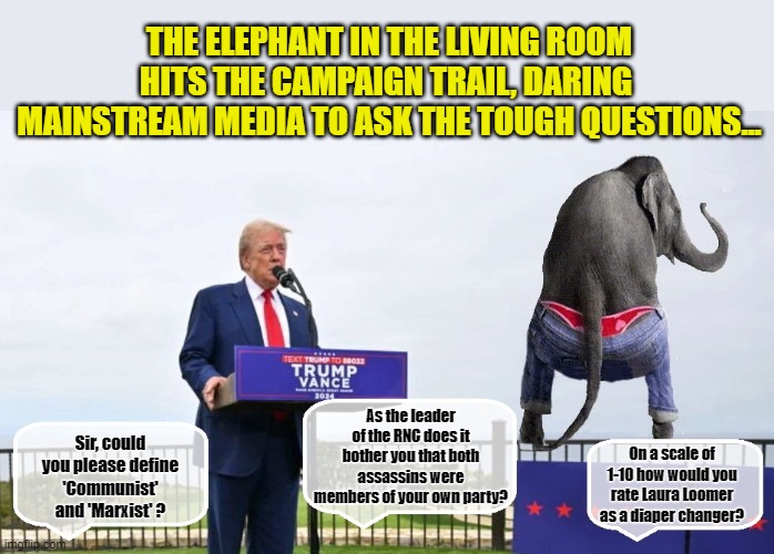 Questions You Wish The Mainstream Media Would Ask.... | THE ELEPHANT IN THE LIVING ROOM HITS THE CAMPAIGN TRAIL, DARING  MAINSTREAM MEDIA TO ASK THE TOUGH QUESTIONS... As the leader of the RNC does it bother you that both assassins were members of your own party? Sir, could you please define 'Communist' and 'Marxist' ? On a scale of 1-10 how would you rate Laura Loomer as a diaper changer? | image tagged in donald trump memes,donald trump the clown,donald trump is an idiot,political humor | made w/ Imgflip meme maker