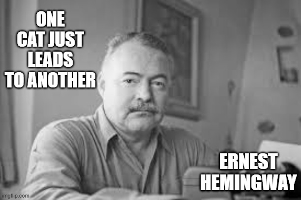 memes by Brad - Ernest Hemmingway quote about cats | ONE CAT JUST LEADS TO ANOTHER; ERNEST HEMINGWAY | image tagged in funny,famous quotes,cats,kittens,quotes,humor | made w/ Imgflip meme maker