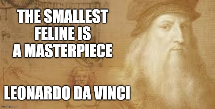 memes by Brad - Famous cat quote from Leonardo da Vinci | THE SMALLEST FELINE IS A MASTERPIECE; LEONARDO DA VINCI | image tagged in funny,cats,leonardo da vinci,kittens,famous quotes,humor | made w/ Imgflip meme maker