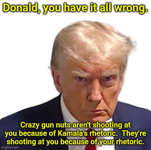 You just have a way of making crazy people want to shoot you.  Tone it down. | Donald, you have it all wrong. Crazy gun nuts aren't shooting at you because of Kamala's rhetoric.  They're shooting at you because of your rhetoric. | image tagged in trump mugshot | made w/ Imgflip meme maker