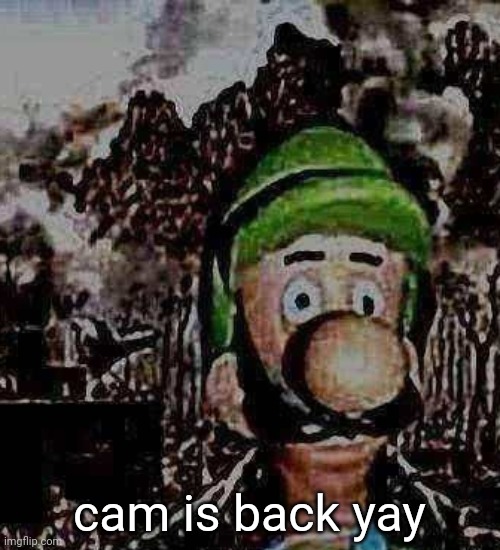 luigi yard stare | cam is back yay | image tagged in luigi yard stare | made w/ Imgflip meme maker
