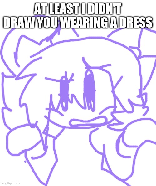 Comedic Response | AT LEAST I DIDN'T DRAW YOU WEARING A DRESS | image tagged in shitpost,yeet,420,69 | made w/ Imgflip meme maker