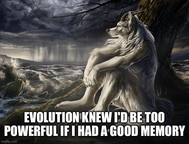 anyone else? | EVOLUTION KNEW I'D BE TOO POWERFUL IF I HAD A GOOD MEMORY | image tagged in lone wolf,evolution,bad memory,my memory sucks,me irl | made w/ Imgflip meme maker