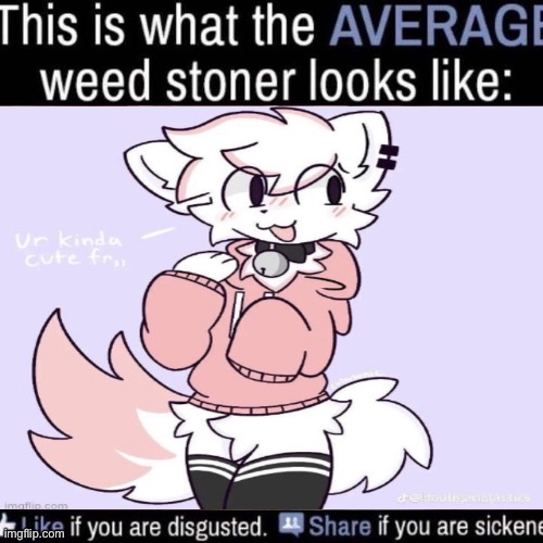 what the AVERAGE weed stoner looks like (add your own image) | image tagged in what the average weed stoner looks like add your own image | made w/ Imgflip meme maker