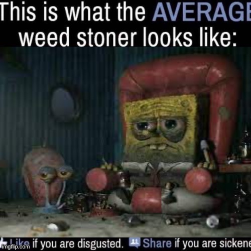 realistic | image tagged in what the average weed stoner looks like add your own image | made w/ Imgflip meme maker