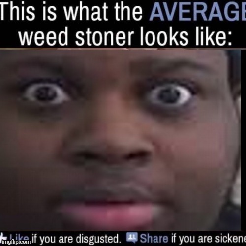 what the AVERAGE weed stoner looks like (add your own image) | image tagged in what the average weed stoner looks like add your own image | made w/ Imgflip meme maker
