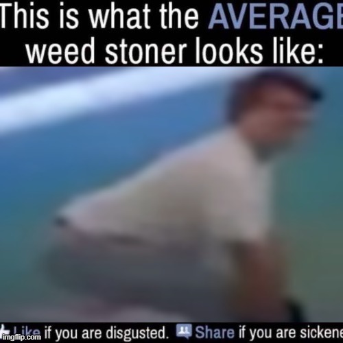 what the AVERAGE weed stoner looks like (add your own image) | image tagged in what the average weed stoner looks like add your own image | made w/ Imgflip meme maker