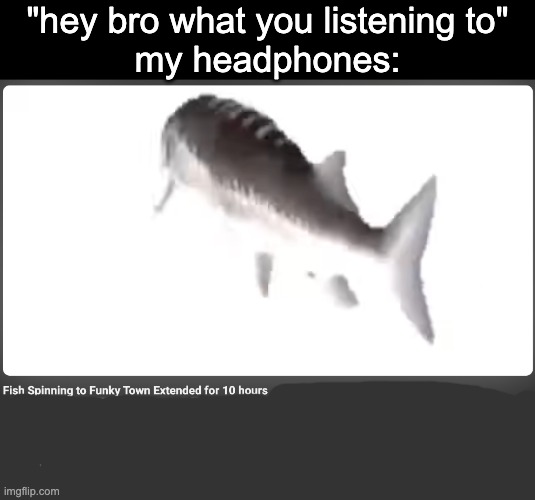 funky town | "hey bro what you listening to"
my headphones: | made w/ Imgflip meme maker