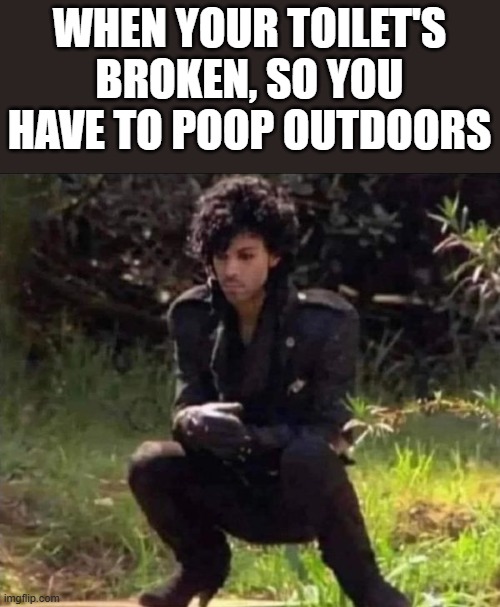 When Your Toilet's Broken | WHEN YOUR TOILET'S BROKEN, SO YOU HAVE TO POOP OUTDOORS | image tagged in toilet,poop,outdoors,prince,funny,memes | made w/ Imgflip meme maker