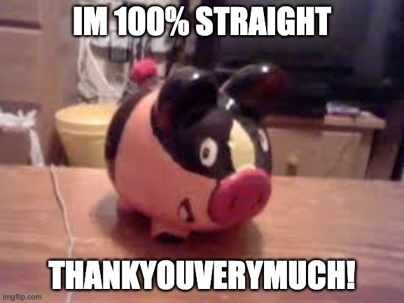 Tepig piggy bank (not mine lol) | IM 100% STRAIGHT THANKYOUVERYMUCH! | image tagged in tepig piggy bank not mine lol | made w/ Imgflip meme maker