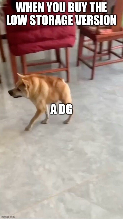 That ain't no dog that's a dg? | WHEN YOU BUY THE LOW STORAGE VERSION; A DG | image tagged in dog,meme,shitpost,funny,animal,cursed | made w/ Imgflip meme maker