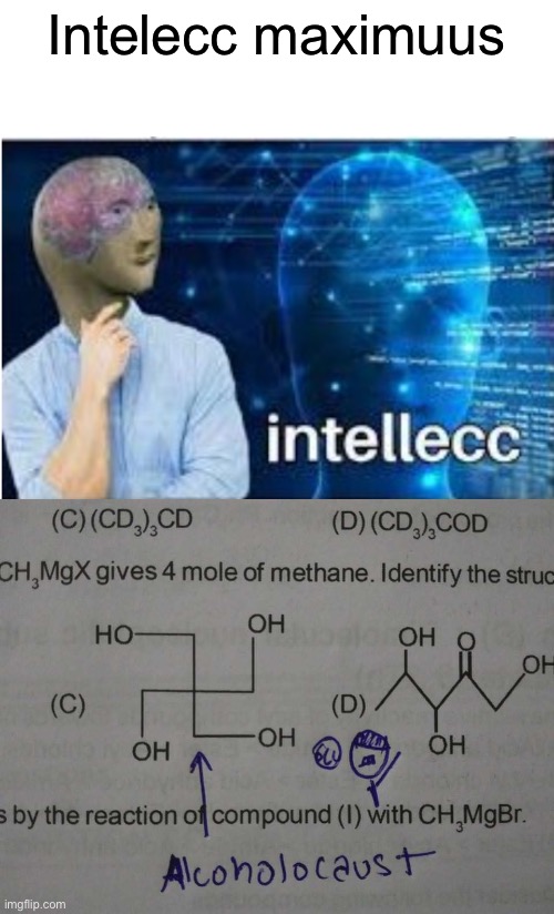 Intelecc maximuus | image tagged in intellecc | made w/ Imgflip meme maker