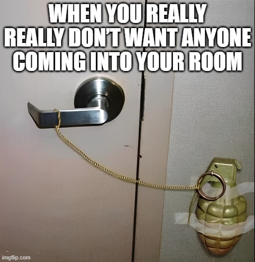 That feeling! | WHEN YOU REALLY REALLY DON’T WANT ANYONE COMING INTO YOUR ROOM | image tagged in memes | made w/ Imgflip meme maker