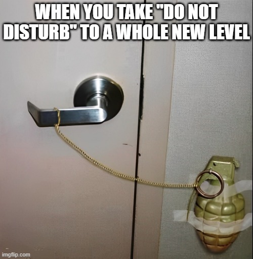 Do Not Disturb | WHEN YOU TAKE "DO NOT DISTURB" TO A WHOLE NEW LEVEL | image tagged in do not disturb,memes,funny,grenade,hilarious memes,front page plz | made w/ Imgflip meme maker