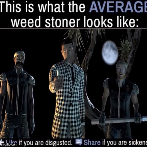 what the AVERAGE weed stoner looks like (add your own image) | image tagged in what the average weed stoner looks like add your own image | made w/ Imgflip meme maker