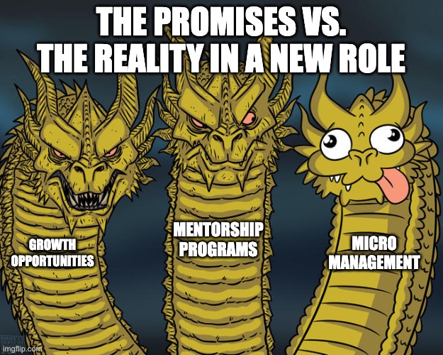 The promises vs. the reality in a new role | THE PROMISES VS. THE REALITY IN A NEW ROLE; MENTORSHIP PROGRAMS; MICRO
MANAGEMENT; GROWTH OPPORTUNITIES | image tagged in three-headed dragon | made w/ Imgflip meme maker