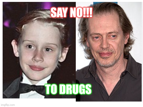 Drugs are bad | SAY NO!!! TO DRUGS | image tagged in drugs are bad,don't do drugs,steve buscemi | made w/ Imgflip meme maker