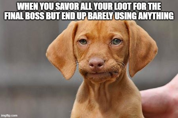 Flashbacks of all those times I could've used t throughout the game | WHEN YOU SAVOR ALL YOUR LOOT FOR THE FINAL BOSS BUT END UP BARELY USING ANYTHING | image tagged in dissapointed puppy | made w/ Imgflip meme maker