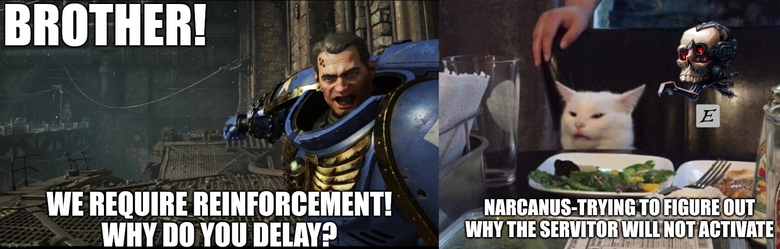 BROTHER! NARCANUS-TRYING TO FIGURE OUT WHY THE SERVITOR WILL NOT ACTIVATE; WE REQUIRE REINFORCEMENT!
WHY DO YOU DELAY? | image tagged in salad cat | made w/ Imgflip meme maker