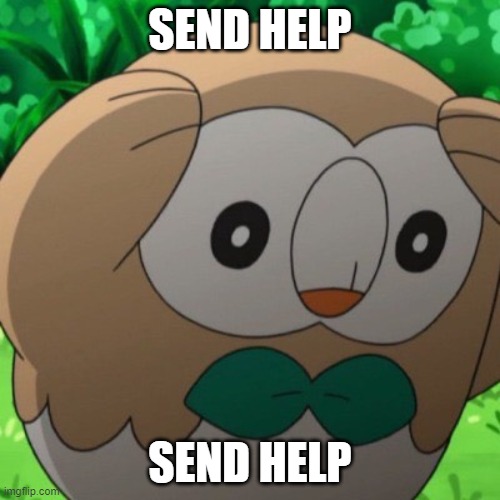 SEND HELP | SEND HELP; SEND HELP | image tagged in rowlet meme template | made w/ Imgflip meme maker