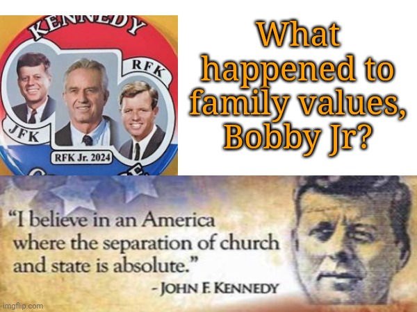 Elvis Has Left Camelot | What happened to
family values,
Bobby Jr? | image tagged in dnc,msnbc,kennedy,family values | made w/ Imgflip meme maker