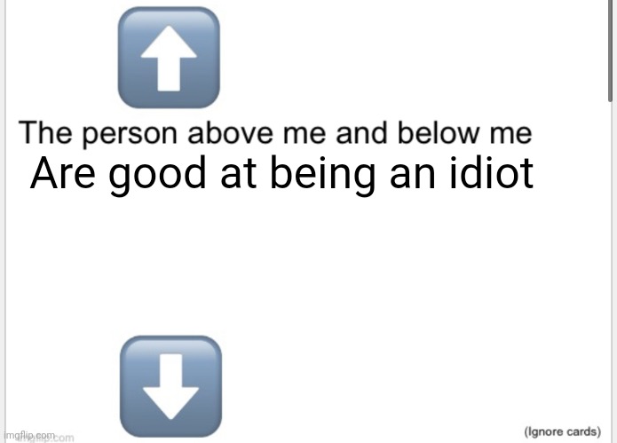 Person above below | Are good at being an idiot | image tagged in person above below | made w/ Imgflip meme maker