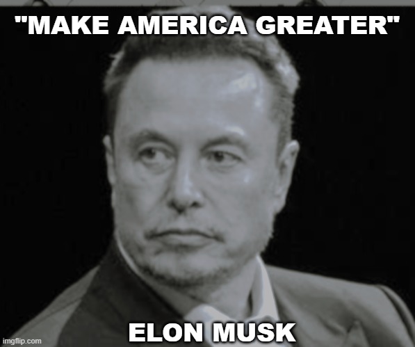 ELON MUSK | "MAKE AMERICA GREATER"; ELON MUSK | image tagged in quote | made w/ Imgflip meme maker