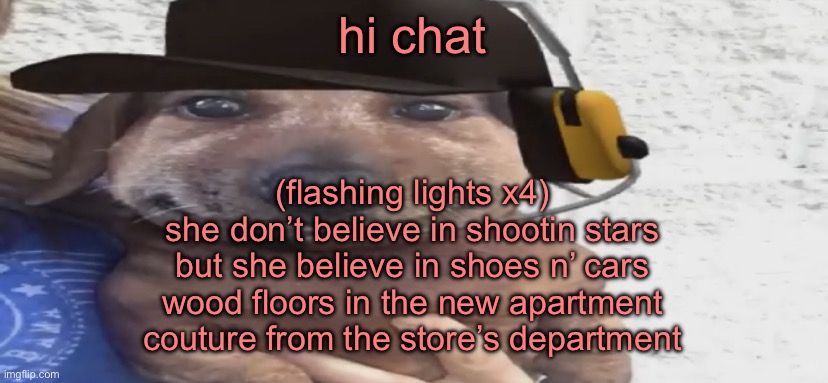 chucklenuts | hi chat; (flashing lights x4)
she don’t believe in shootin stars
but she believe in shoes n’ cars
wood floors in the new apartment
couture from the store’s department | image tagged in chucklenuts | made w/ Imgflip meme maker