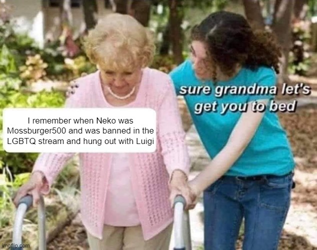 Sure grandma | I remember when Neko was Mossburger500 and was banned in the LGBTQ stream and hung out with Luigi | image tagged in sure grandma | made w/ Imgflip meme maker