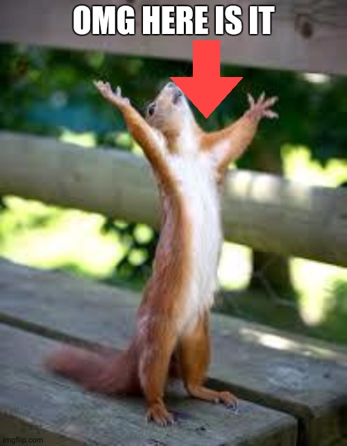 Praise Squirrel | OMG HERE IS IT | image tagged in praise squirrel | made w/ Imgflip meme maker