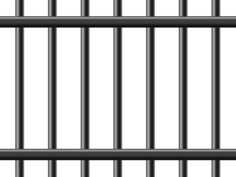 High Quality jail bars Blank Meme Template